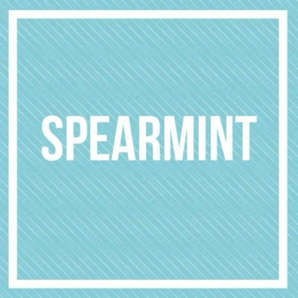 Spearmint Flavoured E-Juice